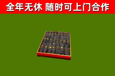 茄子河区回收海参